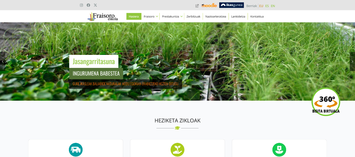 shamiwebs-portfolio-fraisoro-burua